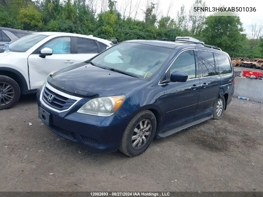 2010 Honda Odyssey VIN: 5FNRL3H6XAB501036 Lot: 12082693