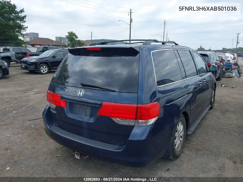 2010 Honda Odyssey VIN: 5FNRL3H6XAB501036 Lot: 12082693