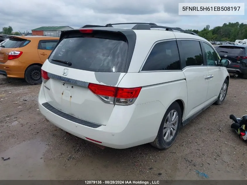 5FNRL5H61EB508197 2014 Honda Odyssey Ex-L