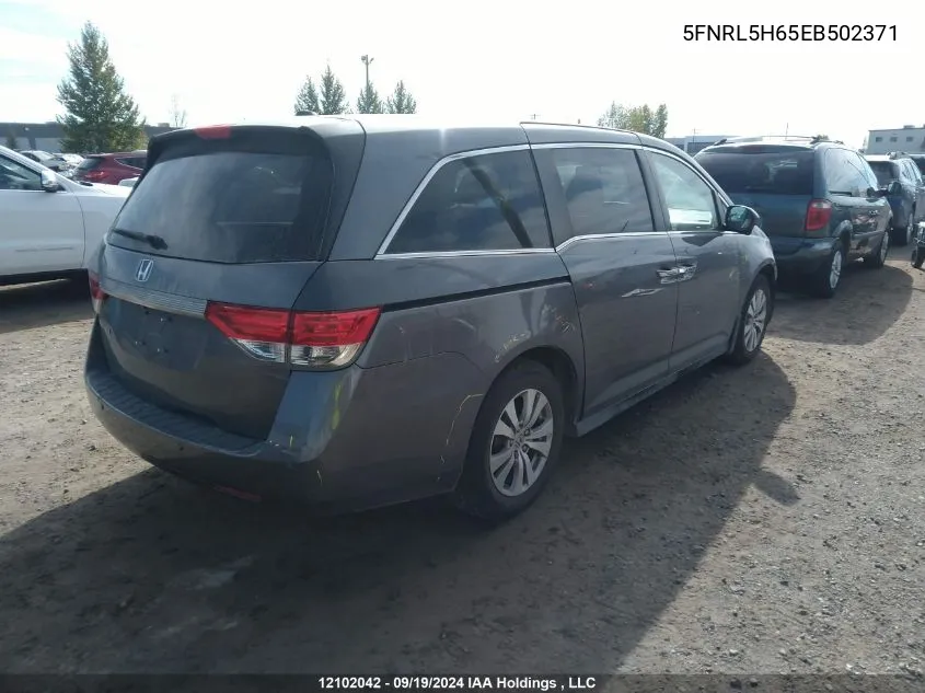 5FNRL5H65EB502371 2014 Honda Odyssey