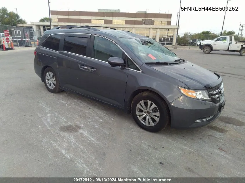 5FNRL5H44EB509262 2014 Honda Odyssey Ex