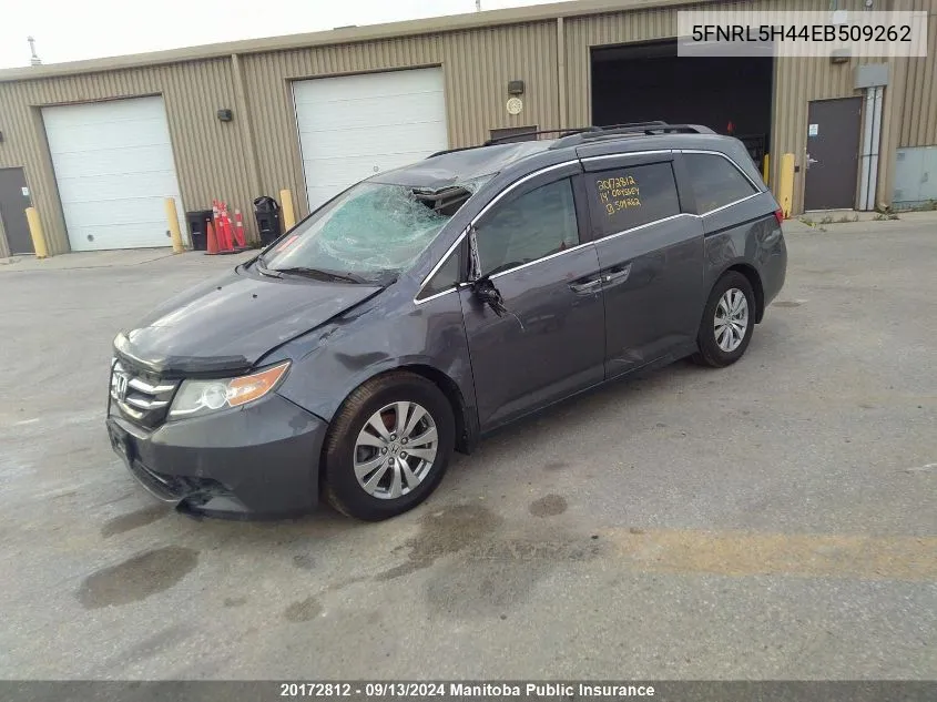 2014 Honda Odyssey Ex VIN: 5FNRL5H44EB509262 Lot: 20172812