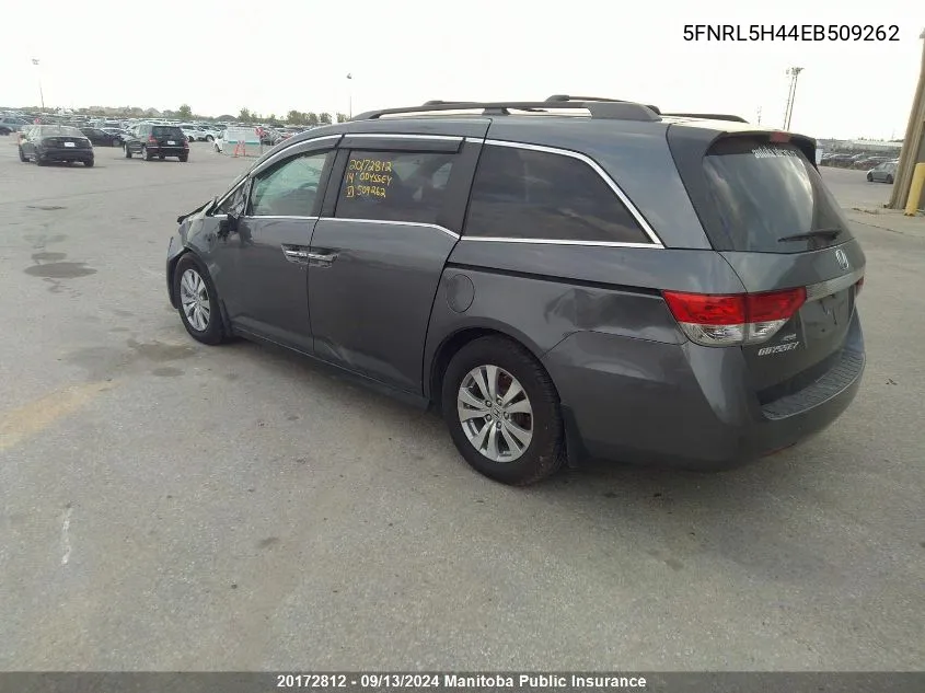 5FNRL5H44EB509262 2014 Honda Odyssey Ex