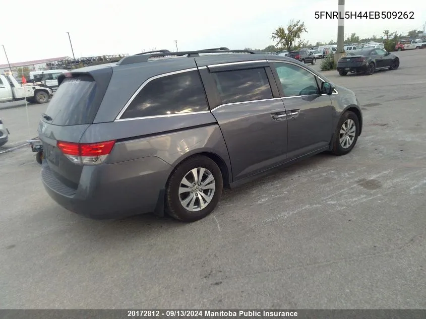 5FNRL5H44EB509262 2014 Honda Odyssey Ex