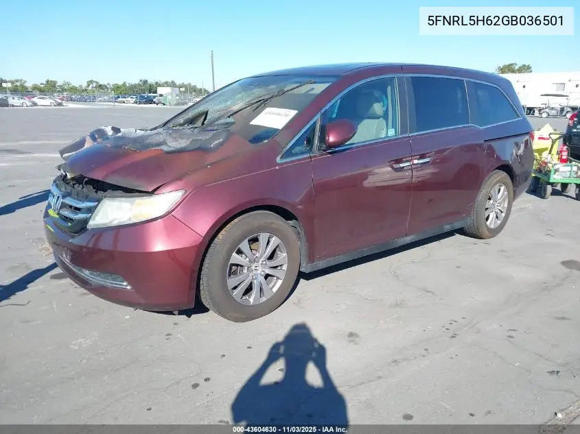 5FNRL5H62GB036501 2016 Honda Odyssey Ex-L