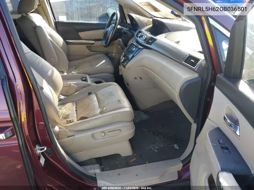5FNRL5H62GB036501 2016 Honda Odyssey Ex-L