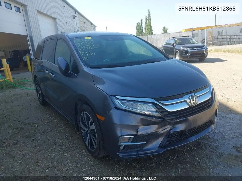 2019 Honda Odyssey VIN: 5FNRL6H81KB512365 Lot: 12044901