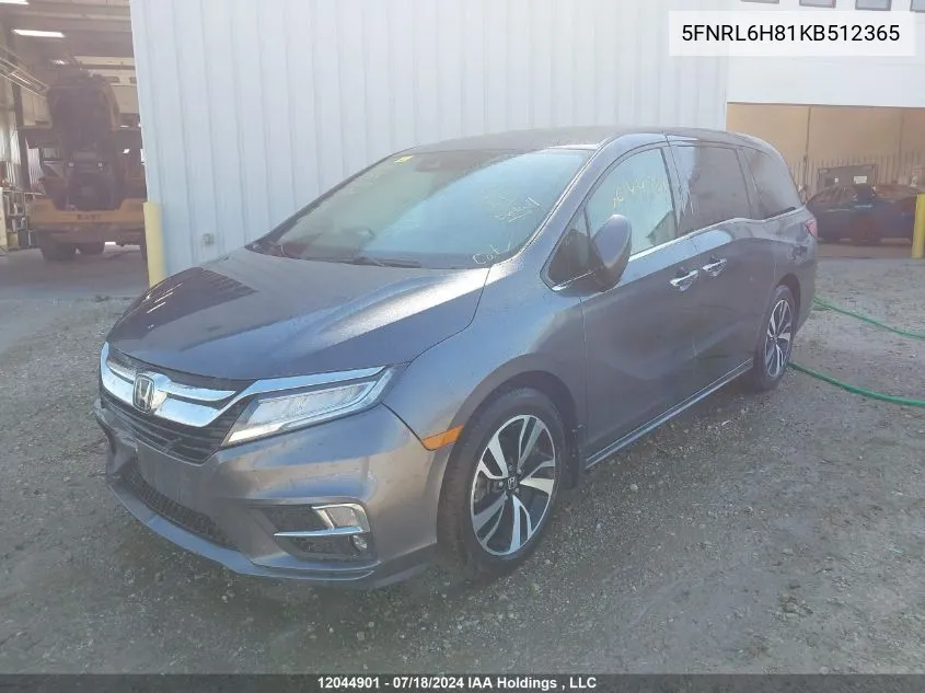 2019 Honda Odyssey VIN: 5FNRL6H81KB512365 Lot: 12044901