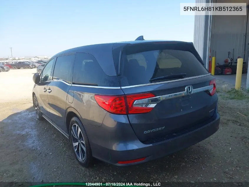 2019 Honda Odyssey VIN: 5FNRL6H81KB512365 Lot: 12044901