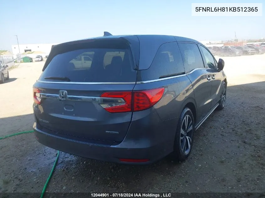 2019 Honda Odyssey VIN: 5FNRL6H81KB512365 Lot: 12044901