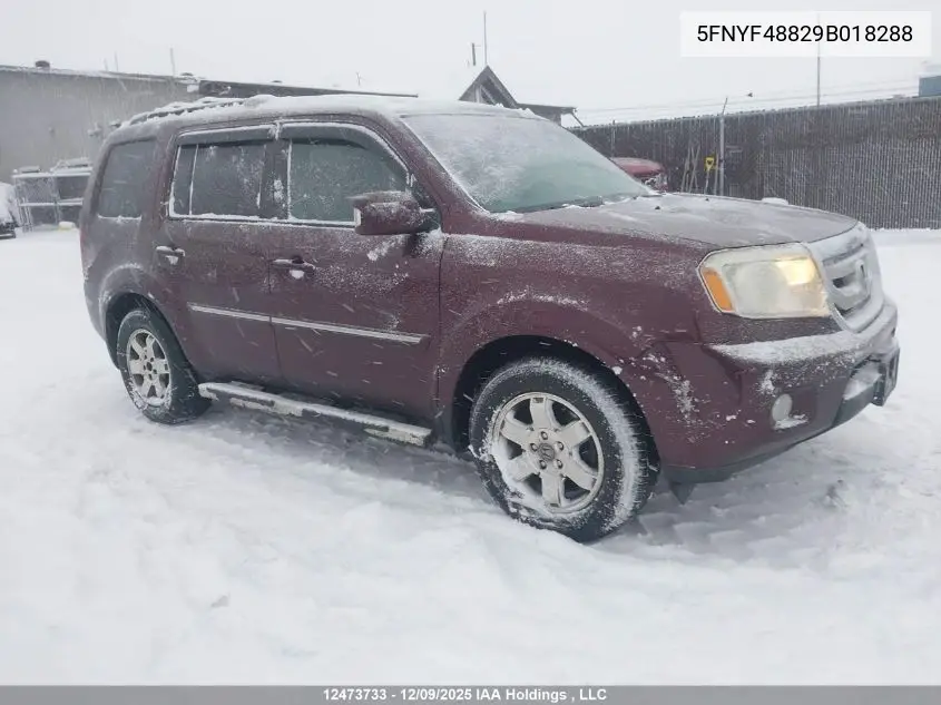 5FNYF48829B018288 2009 Honda Pilot Touring