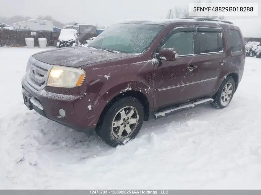 5FNYF48829B018288 2009 Honda Pilot Touring