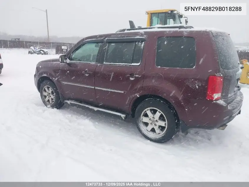 5FNYF48829B018288 2009 Honda Pilot Touring