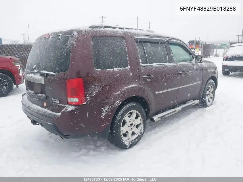 5FNYF48829B018288 2009 Honda Pilot Touring