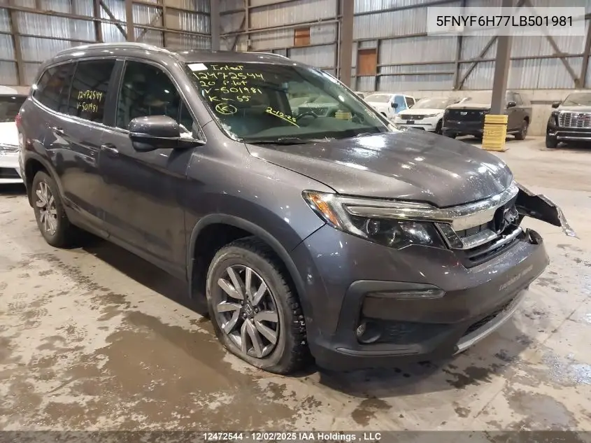 5FNYF6H77LB501981 2020 Honda Pilot