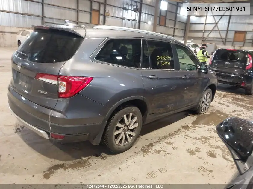 5FNYF6H77LB501981 2020 Honda Pilot