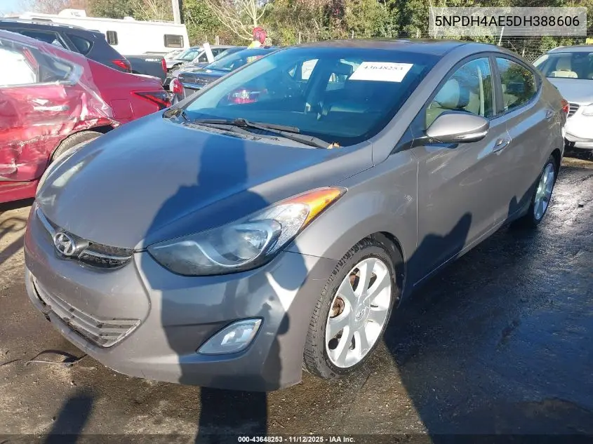 5NPDH4AE5DH388606 2013 Hyundai Elantra Limited