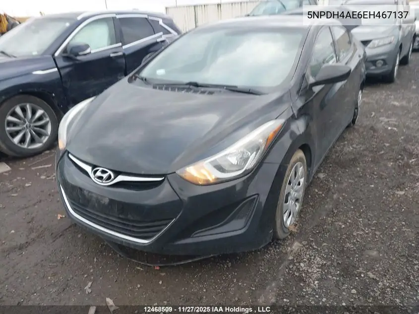 5NPDH4AE6EH467137 2014 Hyundai Elantra Gl