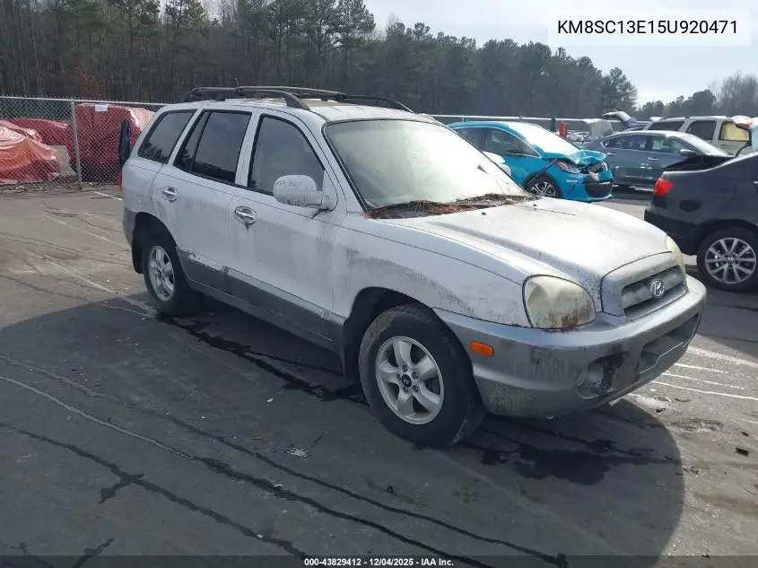 KM8SC13E15U920471 2005 Hyundai Santa Fe Gls/Lx