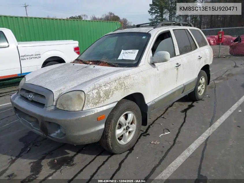 KM8SC13E15U920471 2005 Hyundai Santa Fe Gls/Lx