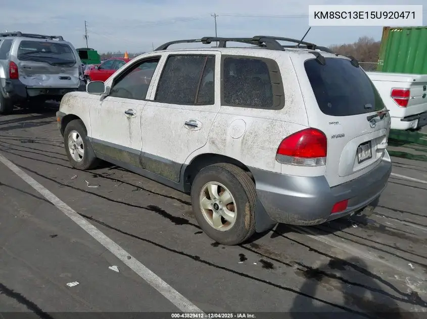 KM8SC13E15U920471 2005 Hyundai Santa Fe Gls/Lx
