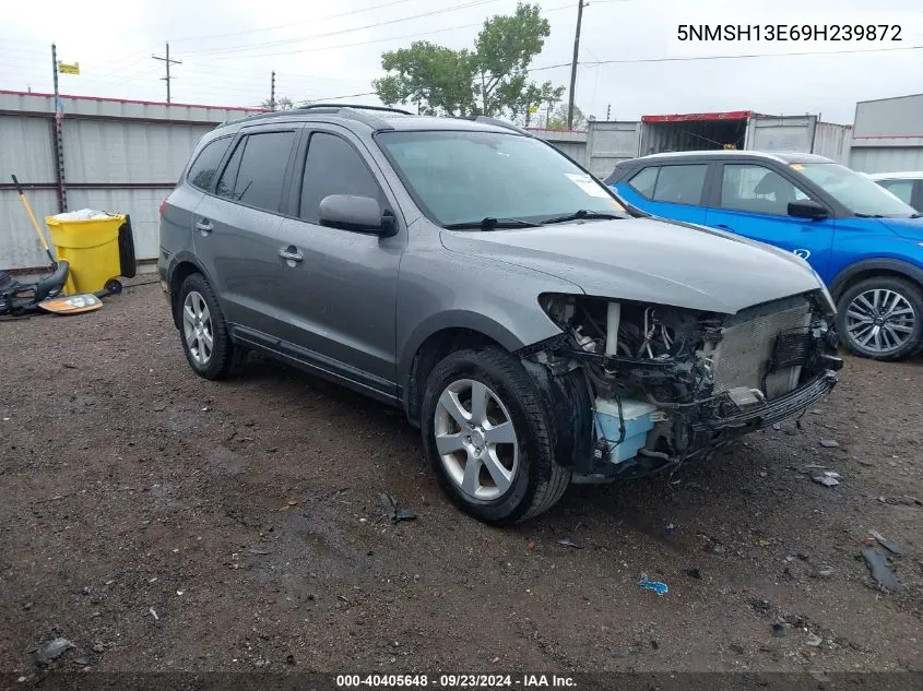 2009 Hyundai Santa Fe Limited VIN: 5NMSH13E69H239872 Lot: 40405648