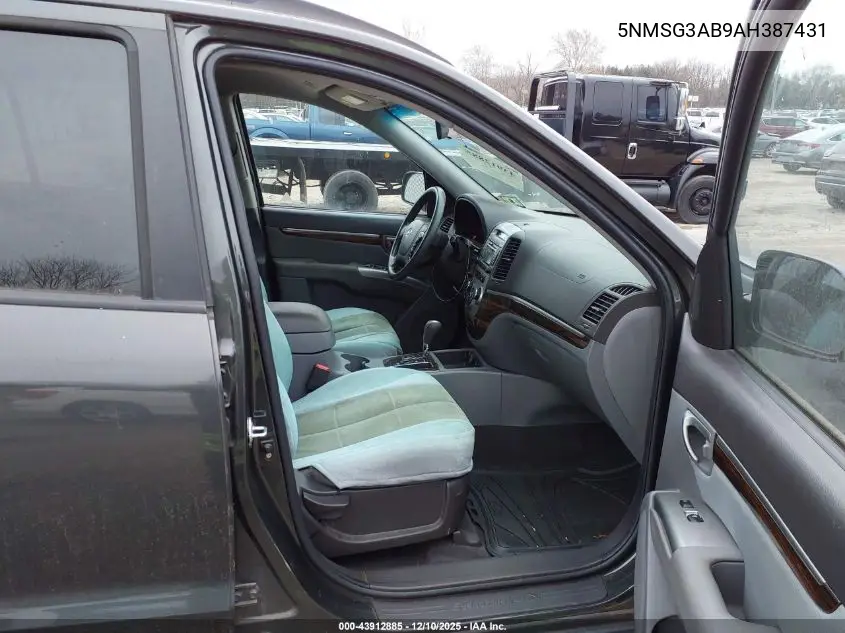 5NMSG3AB9AH387431 2010 Hyundai Santa Fe Gls
