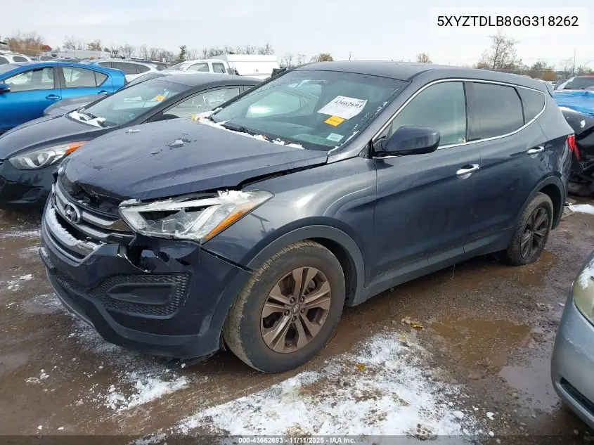 5XYZTDLB8GG318262 2016 Hyundai Santa Fe Sport 2.4L