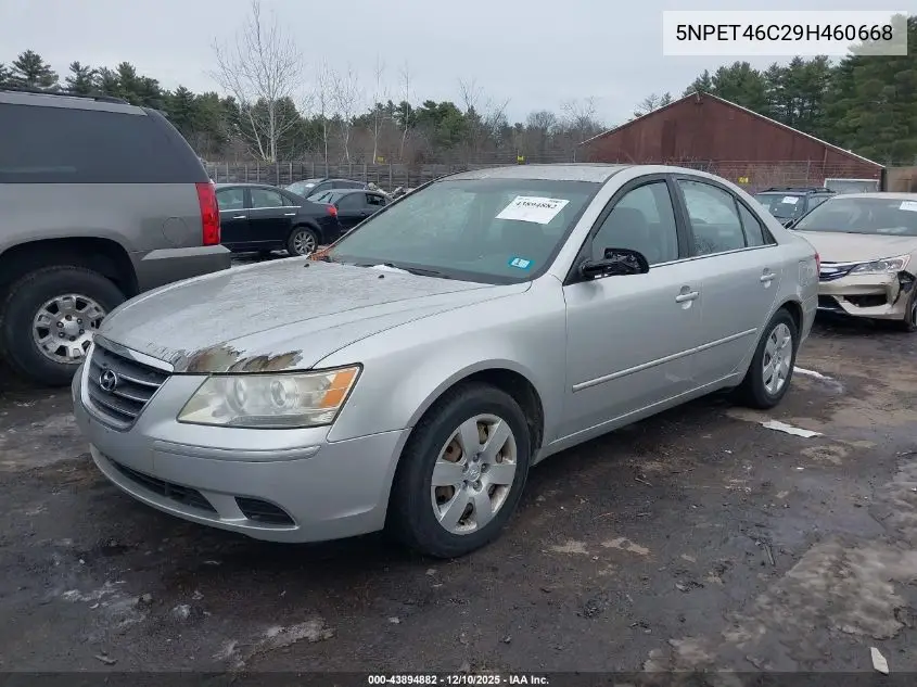 5NPET46C29H460668 2009 Hyundai Sonata Gls