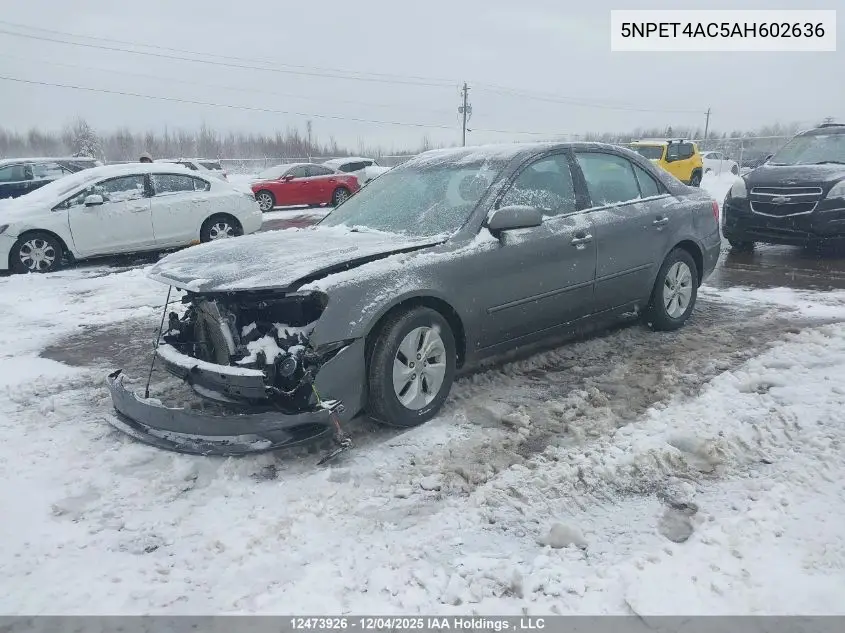 5NPET4AC5AH602636 2010 Hyundai Sonata Gl