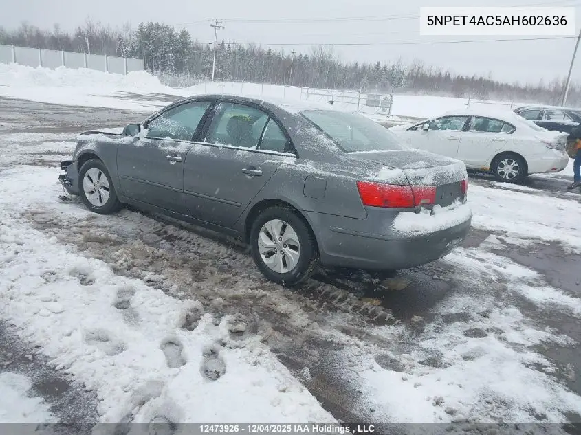 5NPET4AC5AH602636 2010 Hyundai Sonata Gl