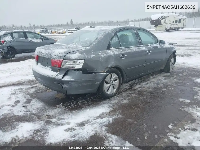5NPET4AC5AH602636 2010 Hyundai Sonata Gl