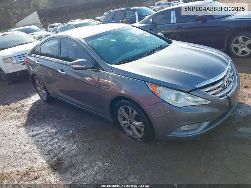 5NPEC4AB8BH302825 2011 Hyundai Sonata Limited 2.0T