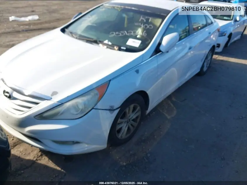 5NPEB4AC2BH079810 2011 Hyundai Sonata Gls