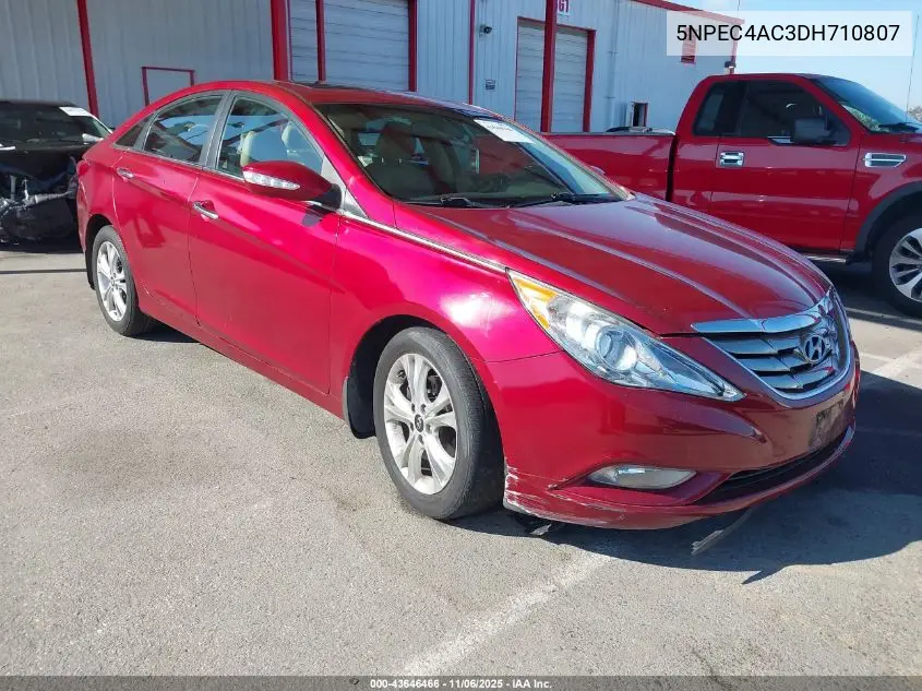 5NPEC4AC3DH710807 2013 Hyundai Sonata Limited