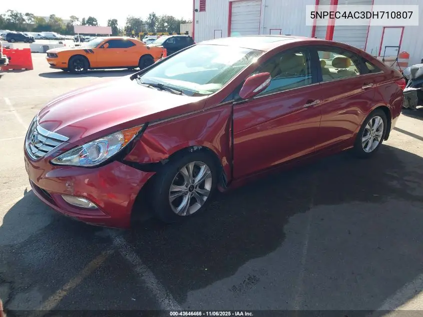 5NPEC4AC3DH710807 2013 Hyundai Sonata Limited