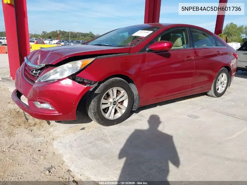 5NPEB4AC5DH601736 2013 Hyundai Sonata Gls
