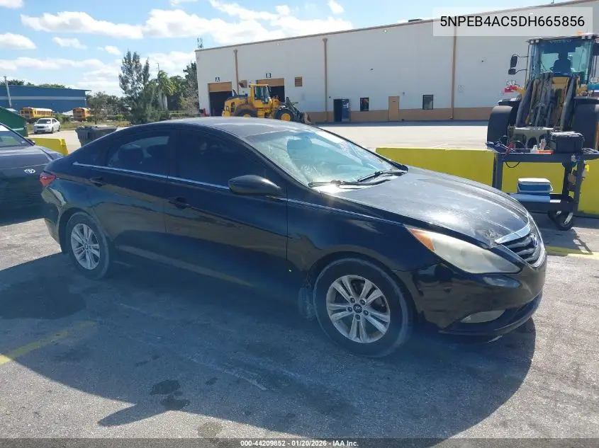 5NPEB4AC5DH665856 2013 Hyundai Sonata Gls