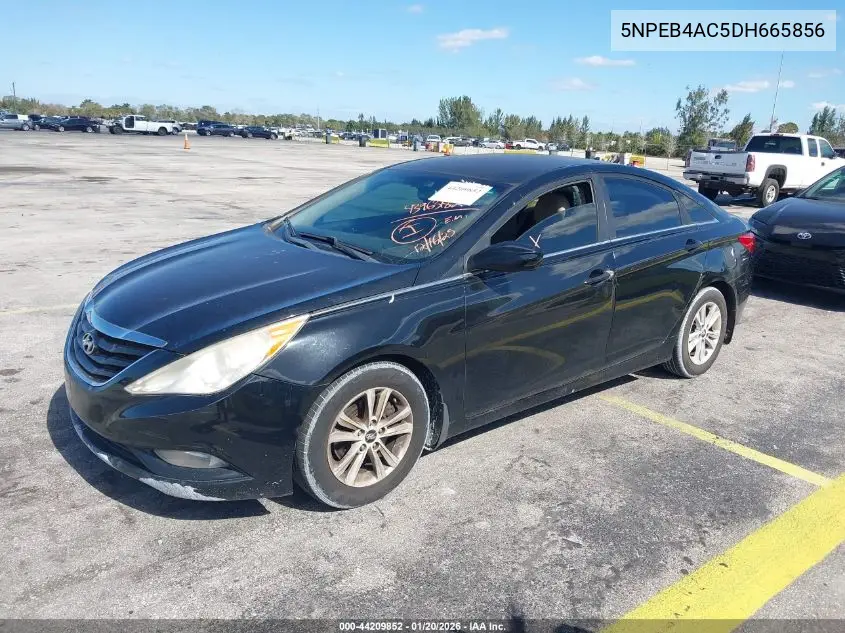 5NPEB4AC5DH665856 2013 Hyundai Sonata Gls