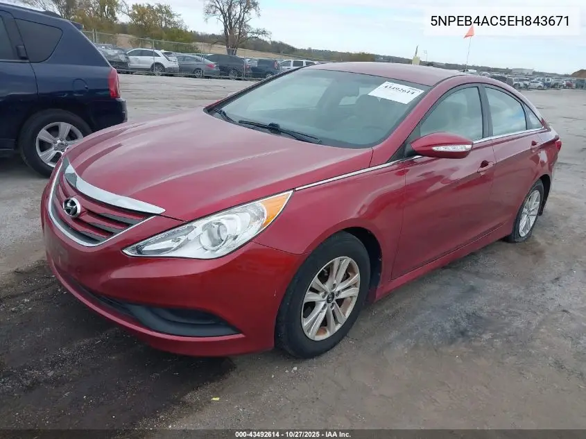 5NPEB4AC5EH843671 2014 Hyundai Sonata Gls