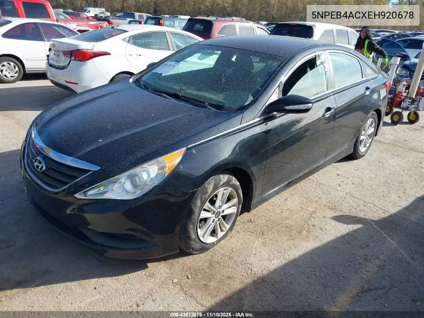 5NPEB4ACXEH920678 2014 Hyundai Sonata Gls