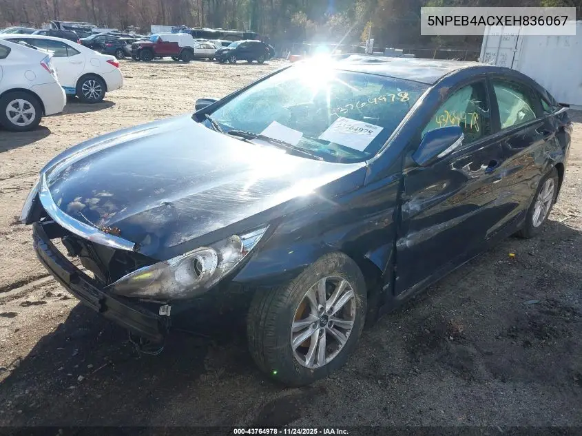 5NPEB4ACXEH836067 2014 Hyundai Sonata Gls