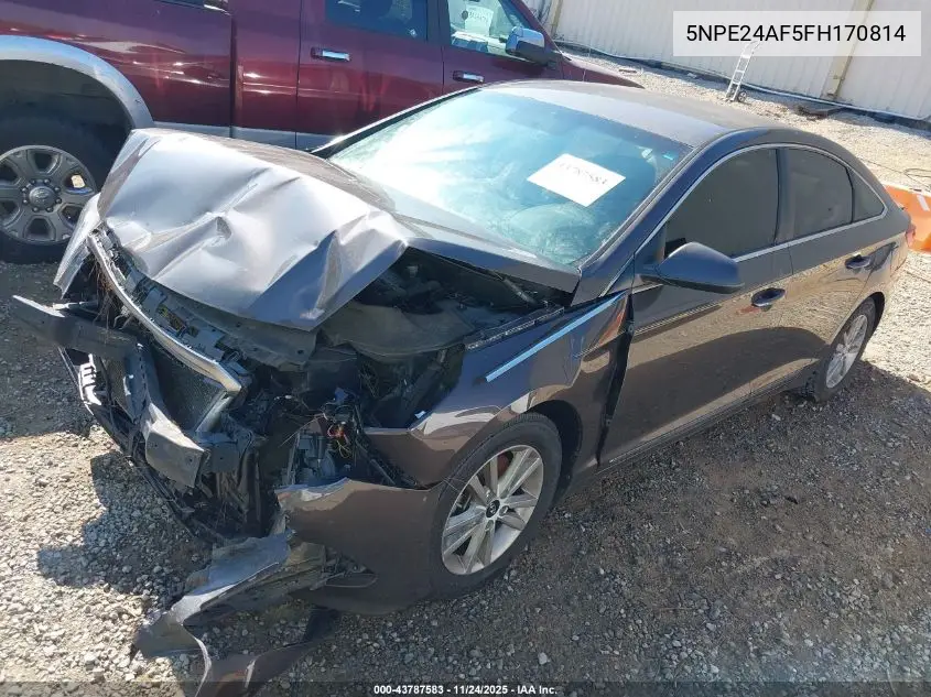 5NPE24AF5FH170814 2015 Hyundai Sonata Se
