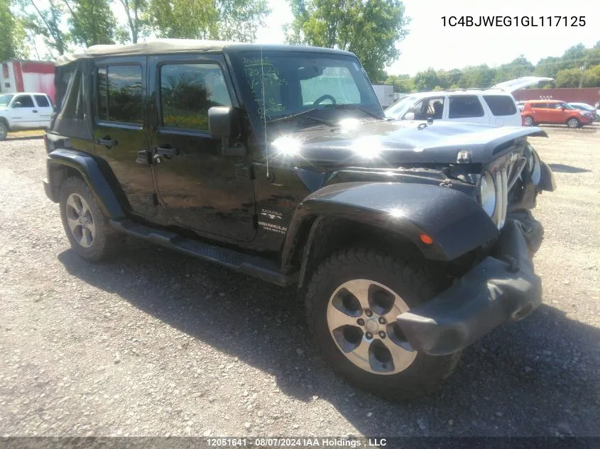 2016 Jeep Tj VIN: 1C4BJWEG1GL117125 Lot: 12051641