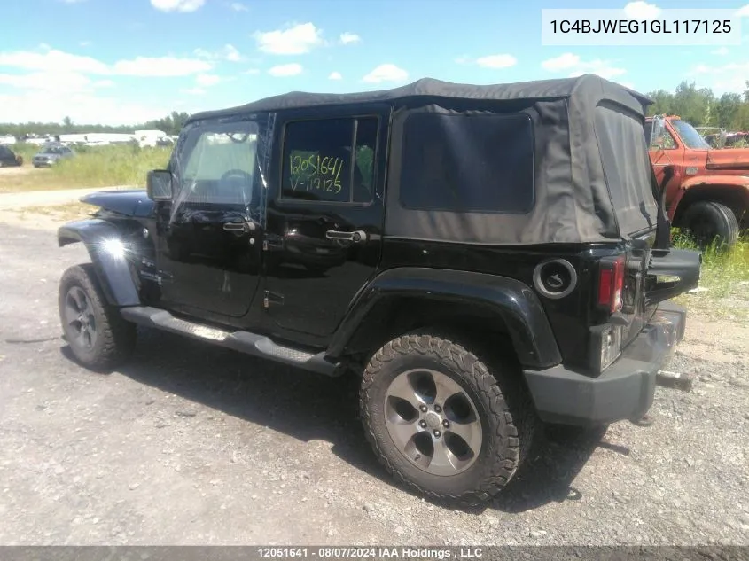 2016 Jeep Tj VIN: 1C4BJWEG1GL117125 Lot: 12051641