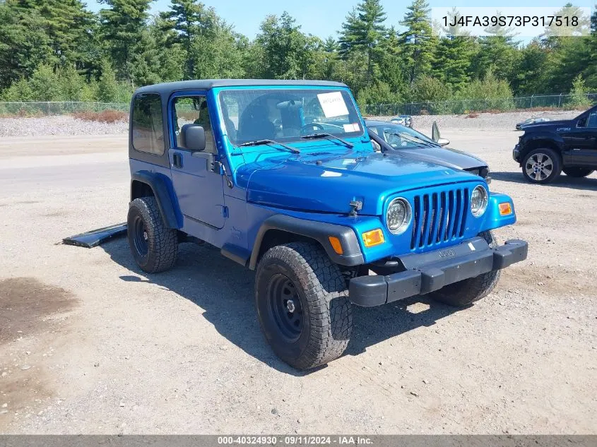 2003 Jeep Wrangler Commando/X VIN: 1J4FA39S73P317518 Lot: 40324930