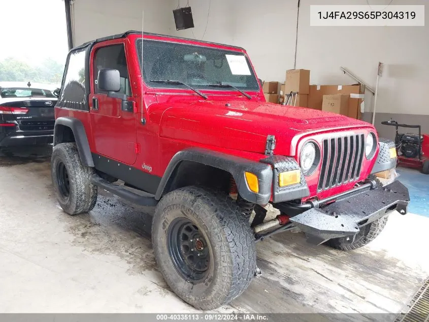 2005 Jeep Wrangler Se VIN: 1J4FA29S65P304319 Lot: 40335113