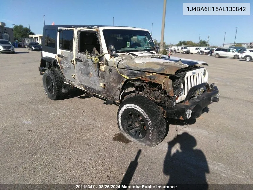 2010 Jeep Wrangler Unlimited Rubicon VIN: 1J4BA6H15AL130842 Lot: 20115347