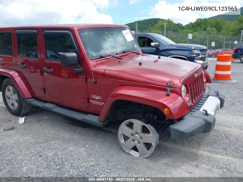 2012 Jeep Wrangler Unlimited Sahara VIN: 1C4HJWEG9CL123565 Lot: 40041763