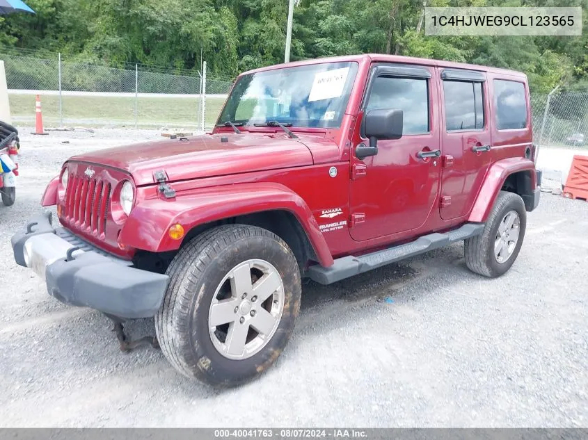 2012 Jeep Wrangler Unlimited Sahara VIN: 1C4HJWEG9CL123565 Lot: 40041763